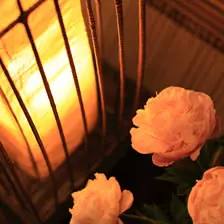 安比八幡平の食の宿 四季館 彩冬 内観